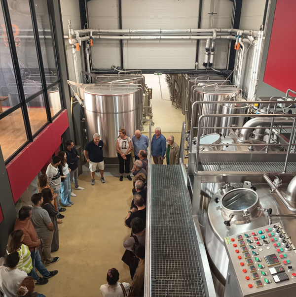 Μικροζυθοποιία Septem