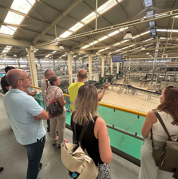 Αθηναική Ζυθοποιία, Πάτρα